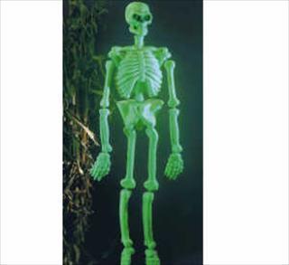 Skelet plastic glow in the dark groot 152 cm