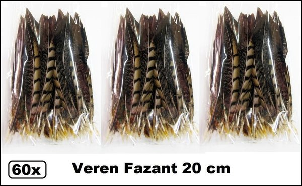 60x Fazant Veren 18/20 cm