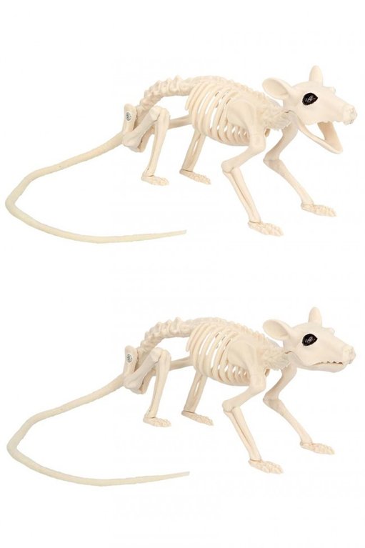 2x Skelet rat 46 cm