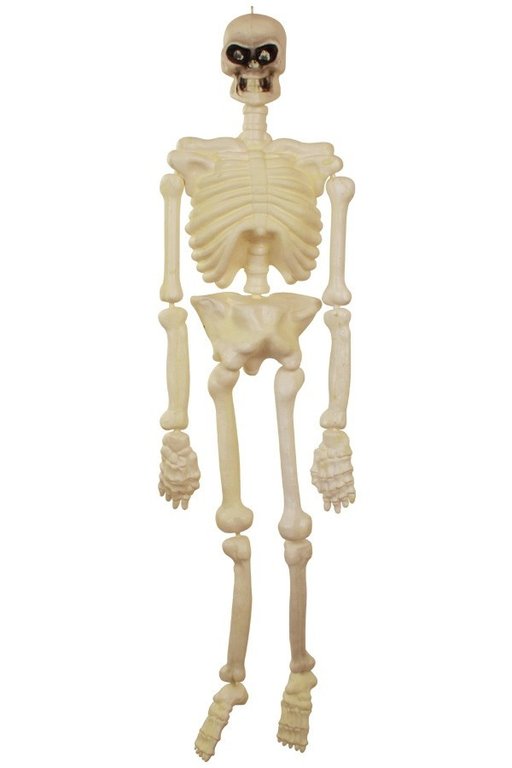 Halloween Skelet 150 cm