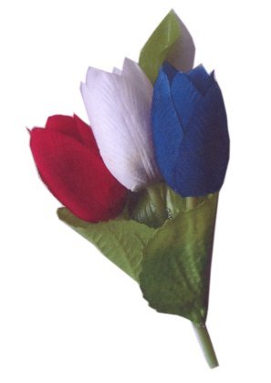 Broche 3 tulpen rood/wit/blauw