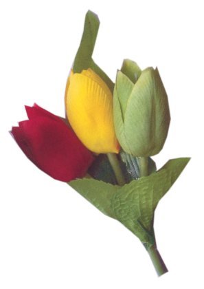Broche 3 tulpen rood/geel/groen