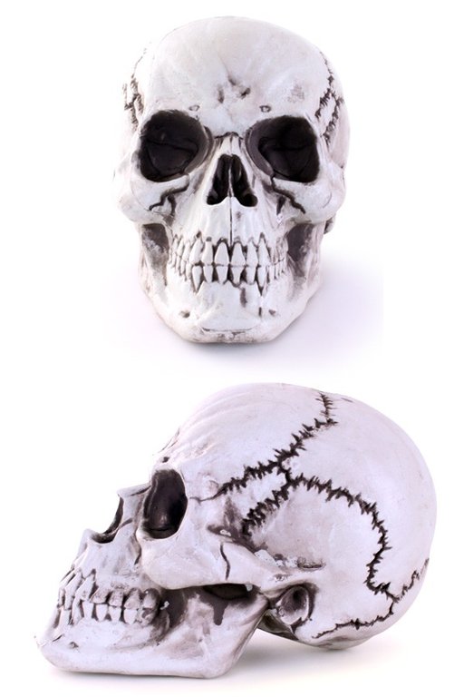 Halloween skelethoofd 18 x 27 cm